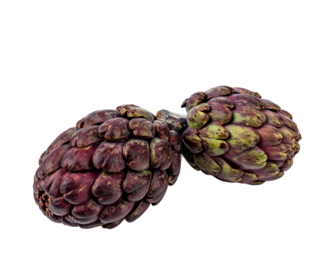 Close-up studio shot of two artichokes. They are purple-red, with green tips and a textured, layered appearance against a black background