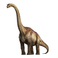 Brachiosaurus long neck dinosaur standing transparent background