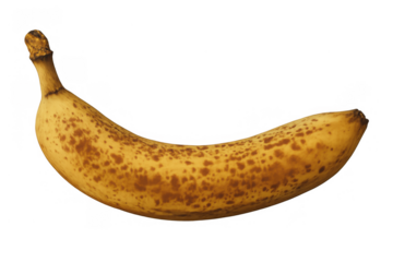 Ripe yellow banana with brown aging spots, a typical sign of sweetness for consumption or baking, set against a clear background