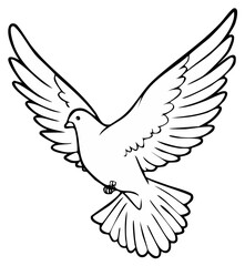 Fototapeta premium Line drawing of a white dove flying with spread wings symbolizing peace and freedom