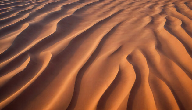Golden desert sand dunes with rippling patterns illuminated by warm sunlight