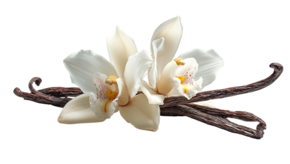 Vanilla beans and delicate white orchid blossoms