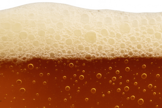 Beer foam and bubbles creating a refreshing liquid texture, with a transparent upper background