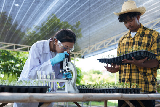 Young men and women are experimenting and analyzing about agricultural crop cultivation.