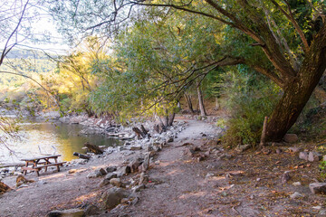 Forest trail along a lakeside with trees, rocks and calm water in soft natural light.