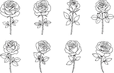 set of roses vector