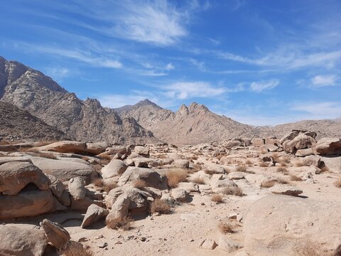  A stunning daytime perspective of the Golden Rock region in Tabuk. The historic red rocks, glistening desert sand, and clear blue skies combine to form a picturesque landscape.
