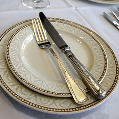 Elegant dinner setting with plate, knife, and fork, neatly arranged, inviting.