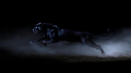 走るクロヒョウ