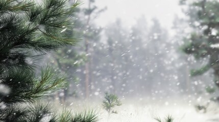 雪の積もった森