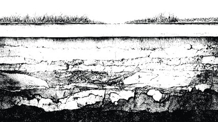 Underground soil layers with grass roots, vintage black and white engraving style isolated on white background, Vector, illustration