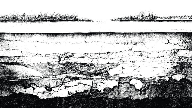 Underground soil layers with grass roots, vintage black and white engraving style isolated on white background, Vector, illustration