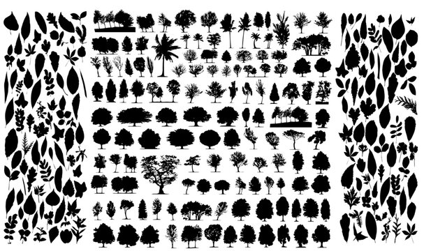 Collection of diverse tree and leaf silhouettes showcasing various species and foliage arrangements nicely done
