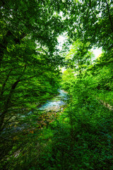 Wooden walkway through the Vintgar gorge near Bled lake in Slovenia,  breathtaking views of the Radovna river