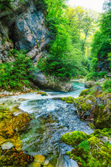 Obraz premium Wooden walkway through the Vintgar gorge near Bled lake in Slovenia, breathtaking views of the Radovna river