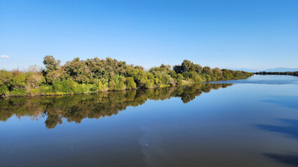 Obraz premium The serene Ceyhan River reflects the golden light of a clear November day, turning the riverside into a natural masterpiece