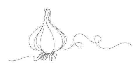 Garlic in continuous line art drawing style © Mahmuda