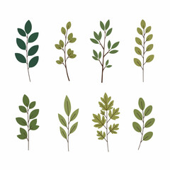 Stylized set of eight green leaves and botanical branches, flat design elements for nature-themed decoration and graphic projects, isolated on white.