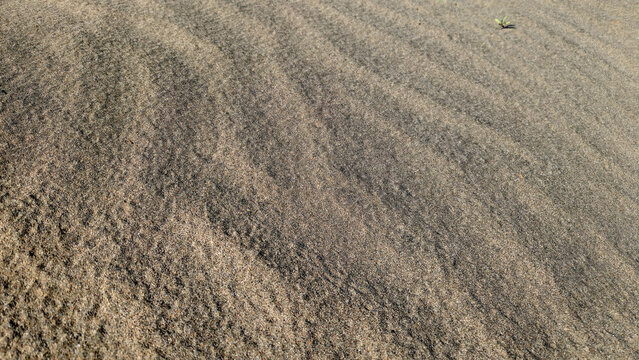 A close-up, high-angle view of beach sand showing subtle, wave-like ripples formed by wind or water, with contrasting light and shadow emphasizing the granular texture and a tiny plant