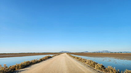 A straight, raised dirt road divides the water of a coastal lagoon, flanked by low salt-tolerant vegetation, leading toward hazy distant mountains, emphasizing human access in a natural habitat