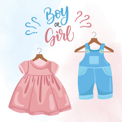 Gender reveal cute pink and blue illustration dress and coverall on hanger