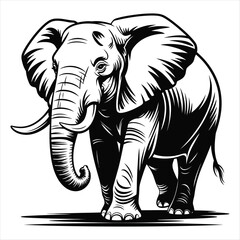 Detailed black and white illustration of an elephant walking forward