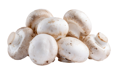 Heap of white champignon mushrooms isolated