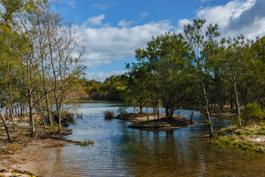 Purry Burry jetty on Purry Burry Point. This jetty is the second longest on Lake Illawarra at 120 metres long