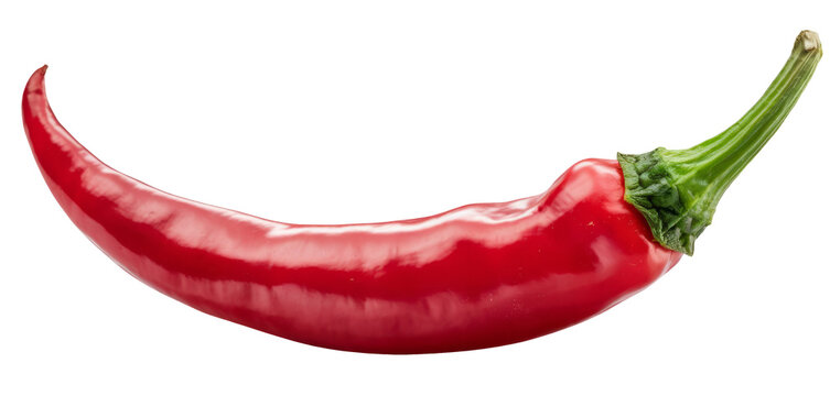 red chili pepper on white background