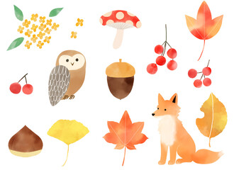 Watercolor illustration set of autumn animals and plants: owl, fox, acorns, chestnuts, nuts, mushrooms, autumn leaves, ginkgo