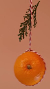 A mandarin swings from side to side like a pendulum with a spruce branch on a two-color gift rope on a beige background.