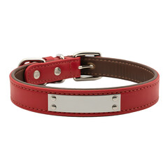 A red leather dog collar with a silver metal nameplate isolated on transparent background