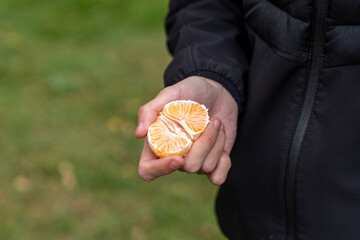 Hand holding a segmented mandarin with soft focus green background, representing healthy eating and...
