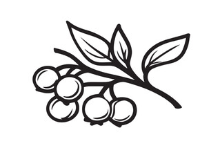 Berry branch icon vector illustration solid black white background harvest
