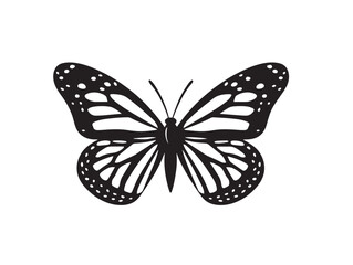 Butterfly icon vector illustration solid black white background transformation
