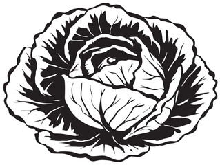 Cabbage icon vector illustration solid black white background leafy green