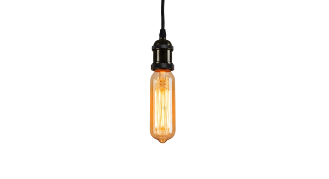 A single festoon bulb hanging from a thin cord, warm ambient glow, isolated on transparent background.