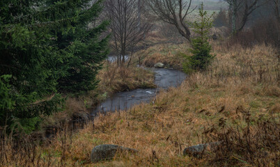 Fototapeta premium Bystrice small river in Krusne mountains in cloudy autumn morning