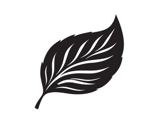 Obraz premium Leaf icon vector illustration solid black on a white background