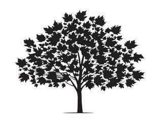 Obraz premium Maple tree icon vector illustration solid black on white background graphic