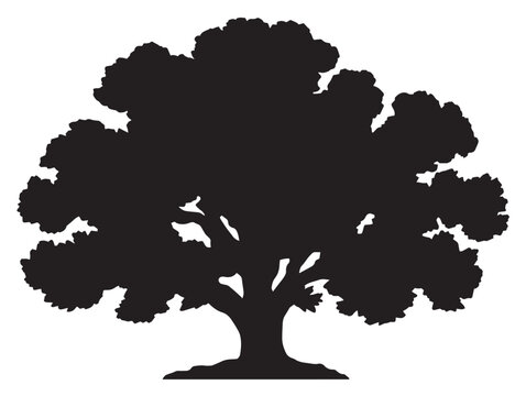 Oak tree icon vector illustration solid black white background nature symbol