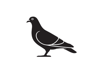 Pigeon icon vector illustration solid black white background urban animal
