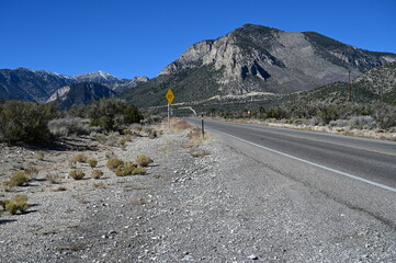 Highway 157/Kyle Canyon Road  on a journey to Mount Charleston.
