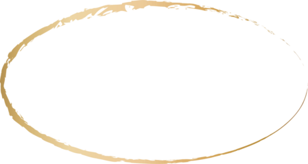 ovel golden line shape-8.png