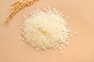 新米のコシヒカリ