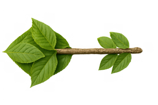 Green leaves and natural stick forming an arrow pointing left, symbolizing eco-friendly direction and sustainable growth - Powered by Adobe