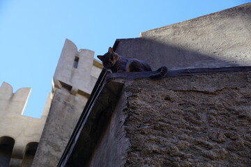 The guard is always at his post