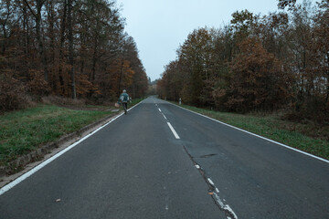 Foggy autumn forest. Nature walk for mushrooms.