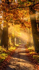 A sunlit path winds through a forest of autumn foliage. Golden leaves cast shadows with sunlight beams