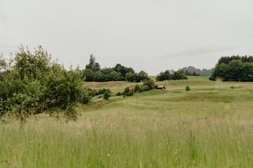 Rolling Green Hills and Meadow Landscape in the Allg&auml;u Countryside